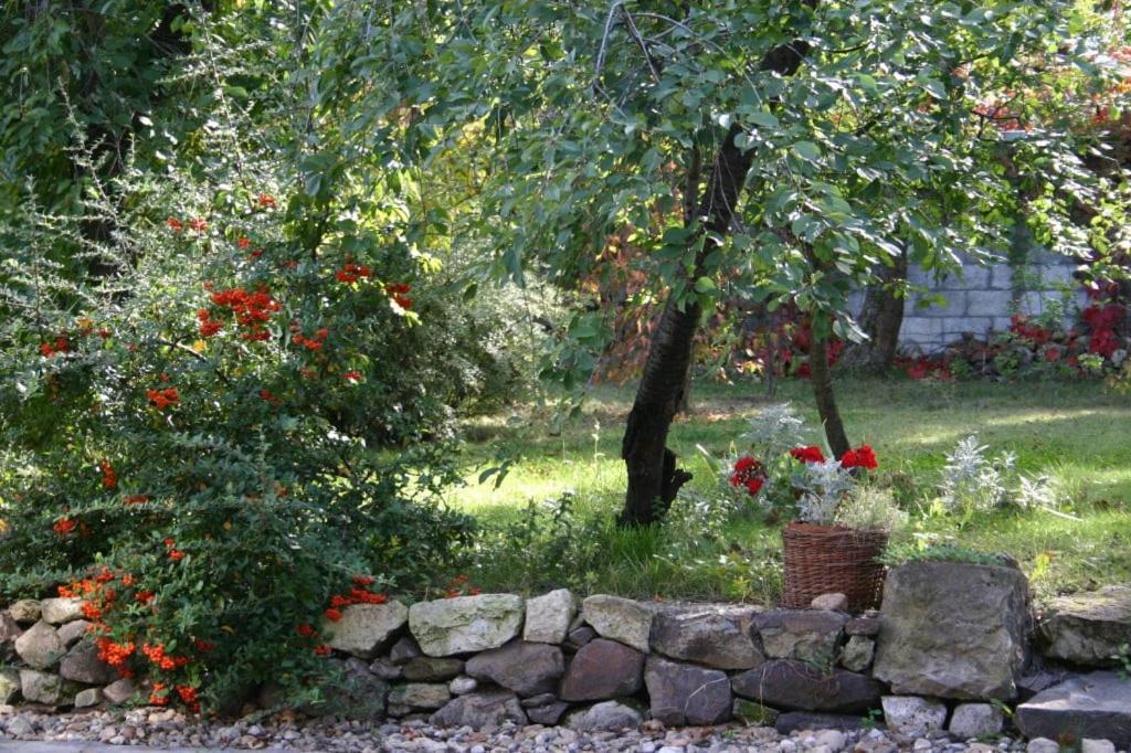 Karádi-Berger Vendégház Erdőbénye Exterior foto